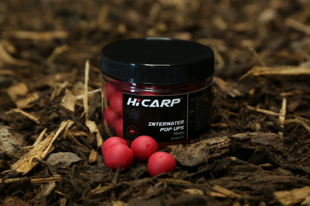 HICARP INTERWATER - KAGYLÓS FŰSZERES POP-UP 16MM