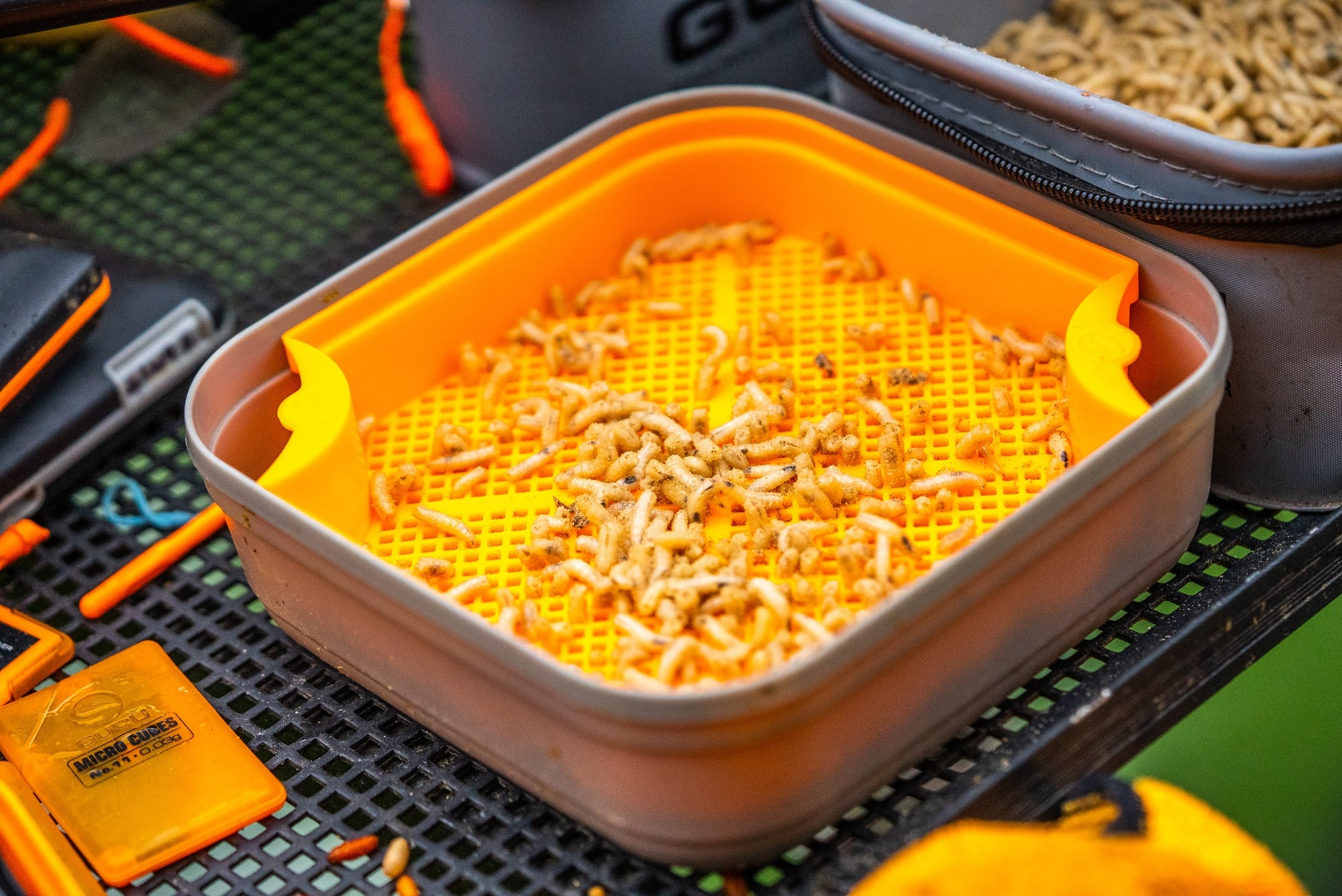 GURU MAGGOT RIDDLE - BLACK