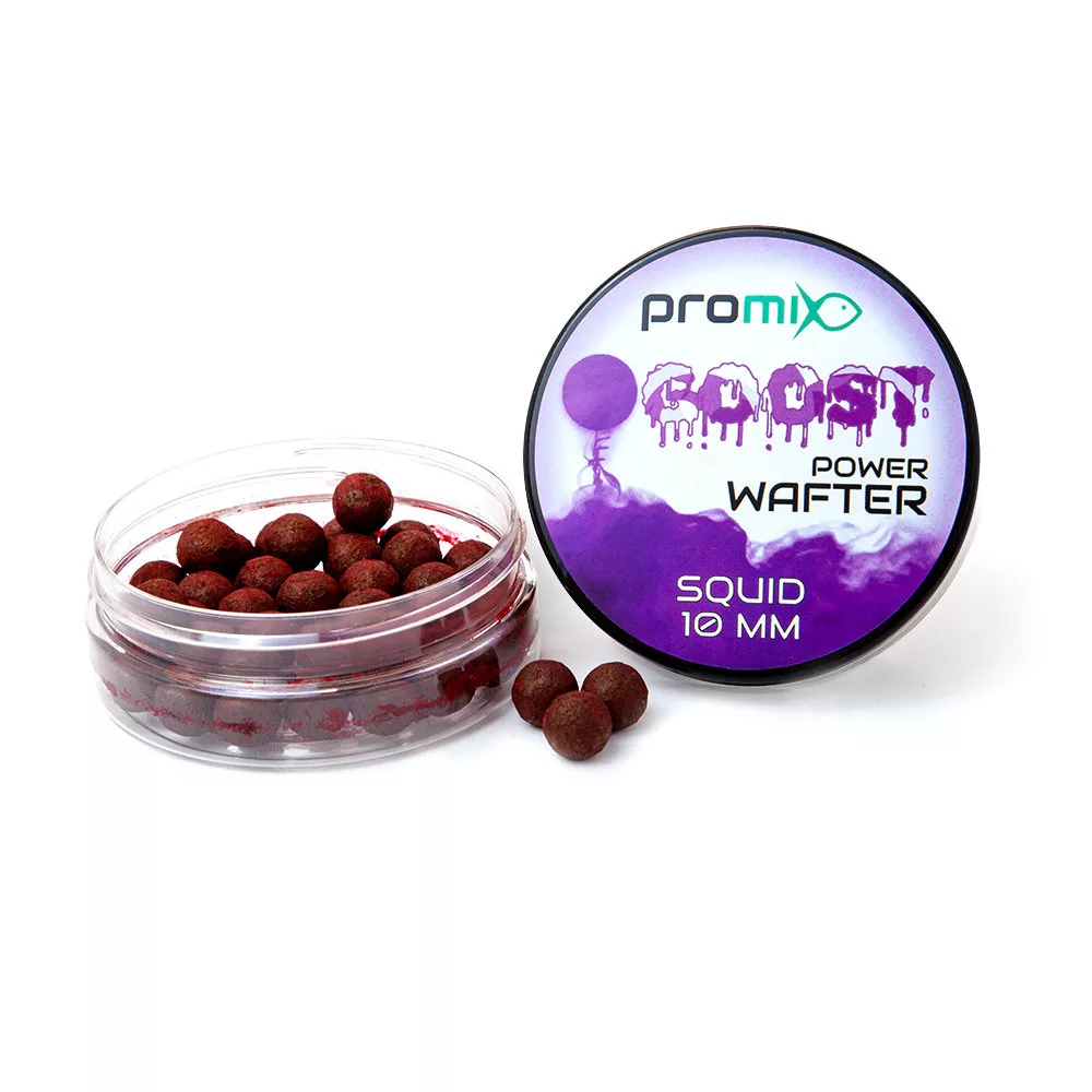 PROMIX GOOST POWER WAFTER SQUID 10MM 20G