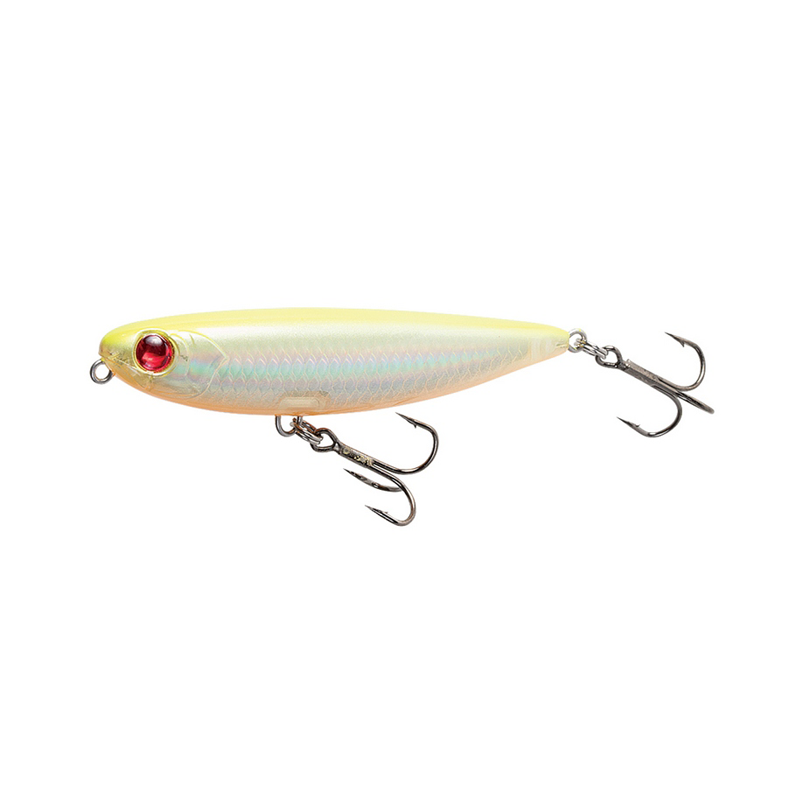 FILFISHING 80-5955 VERSO 05