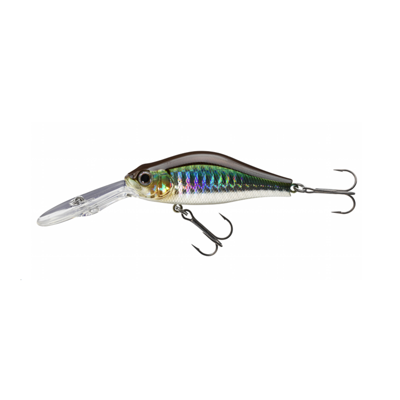 DAIWA TN MEGA SCOUTER 1064FG KBNG