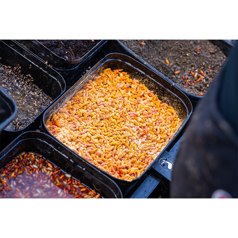 GURU BAIT BOX 2.2 PINT 1,25L ORANGE