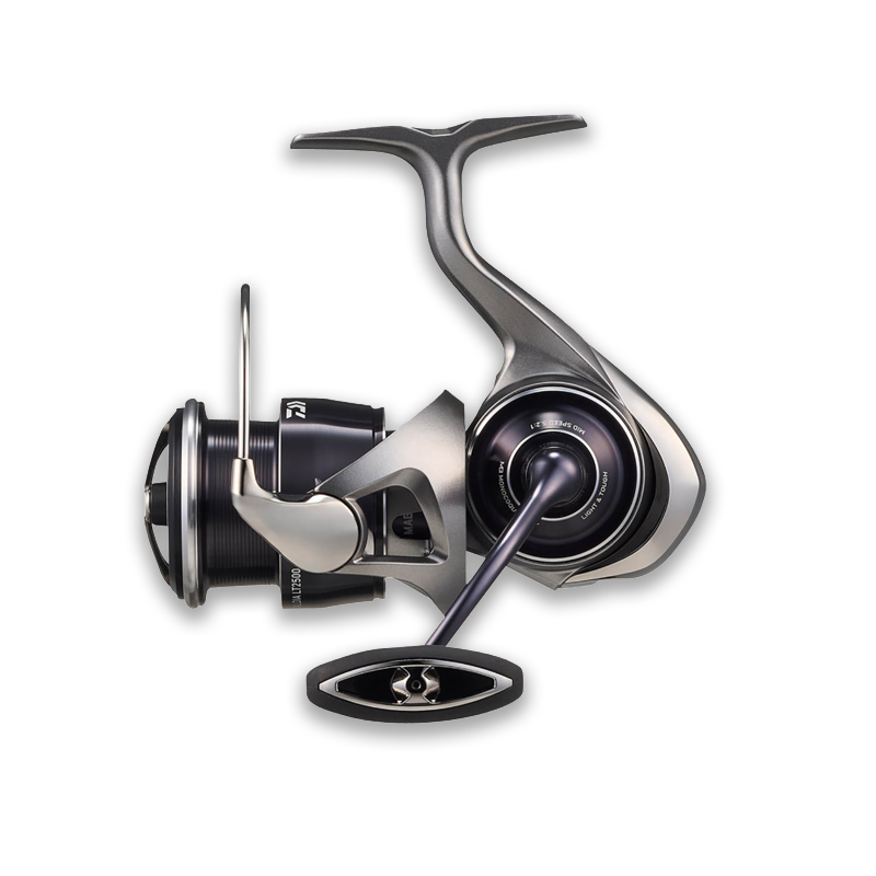 DAIWA 25 CALDIA LT4000-C