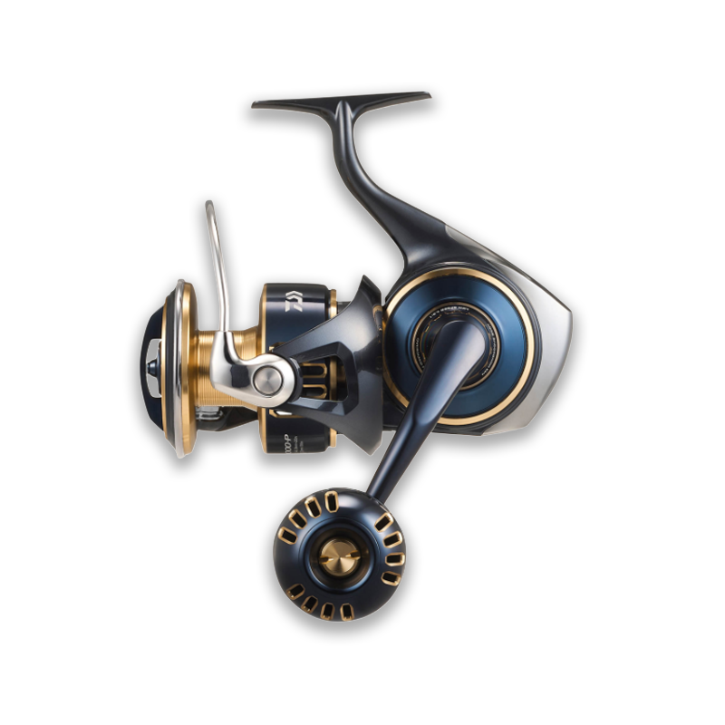 DAIWA 25 SALTIGA (G) 8000-P
