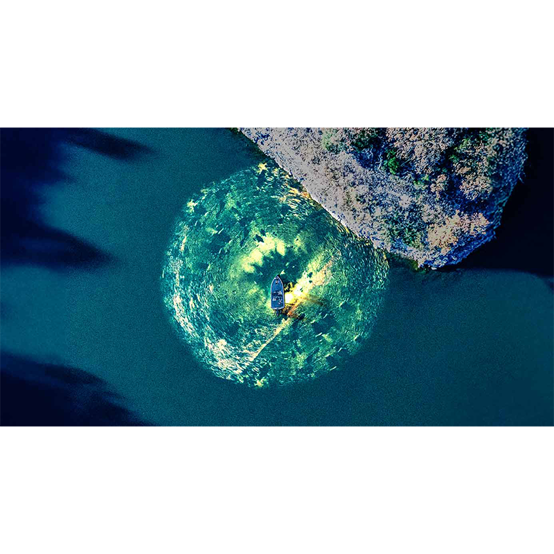 LOWRANCE ACTIVE TARGET 2 XL