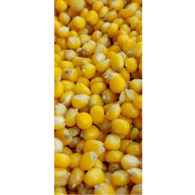 JÁMBOR MIX FŐTT KUKORICA 3KG